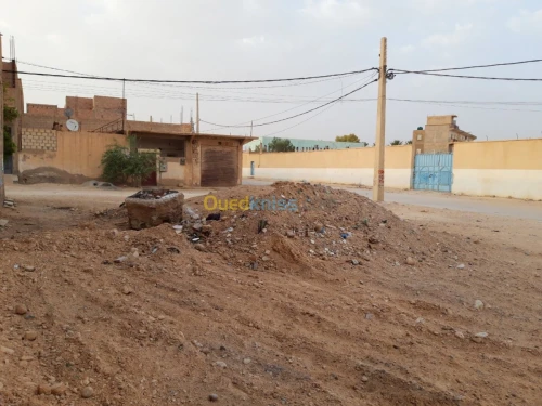 Vente Terrain Biskra Chetma