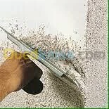 Travaux peinture services