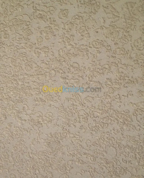 Travaux peinture services
