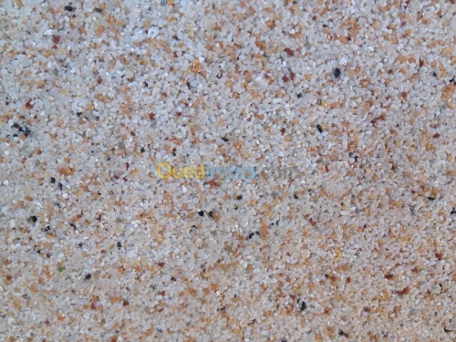 Travaux peinture services