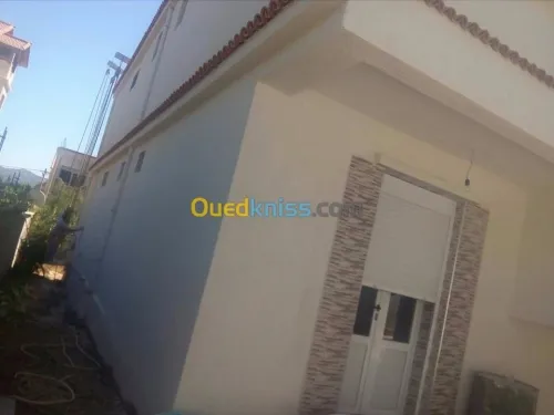Travaux peinture services