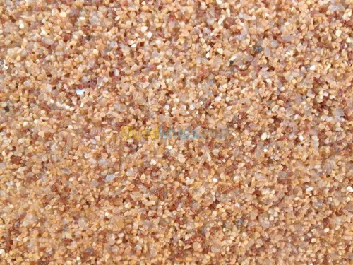 Travaux peinture services