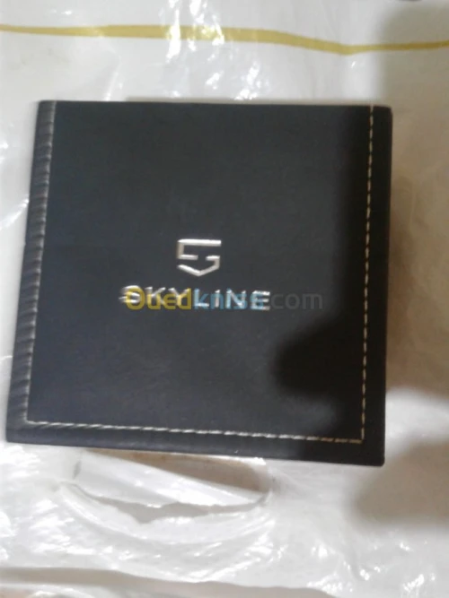 Montre skyline