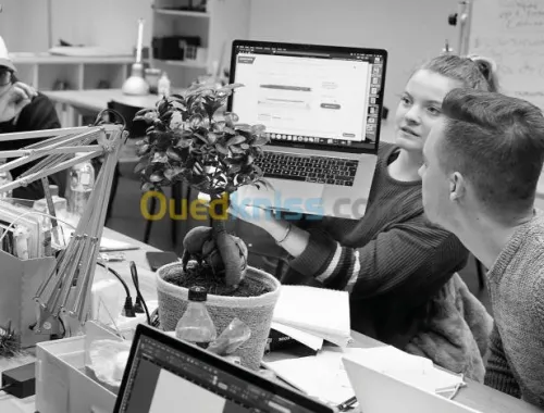 Infographie et publication الأنفوغرافي