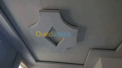 Placo plâtres BA13