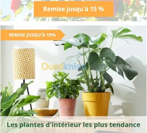 Jardinerie plantes.arbres