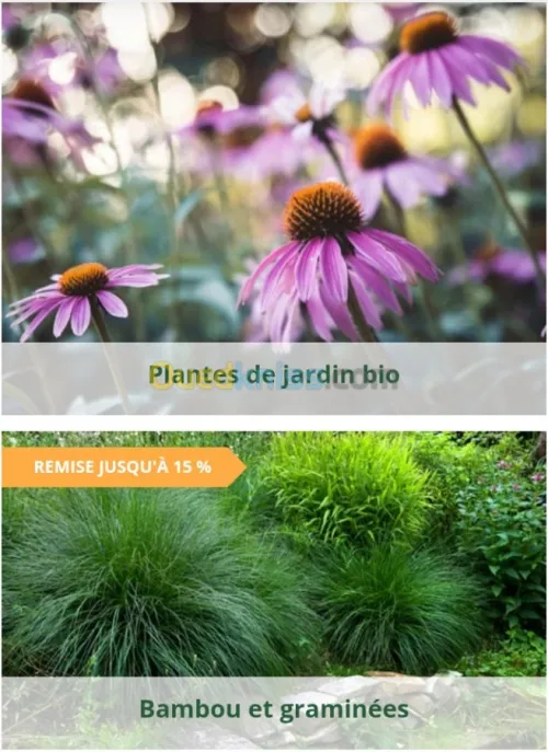 Jardinerie plantes.arbres