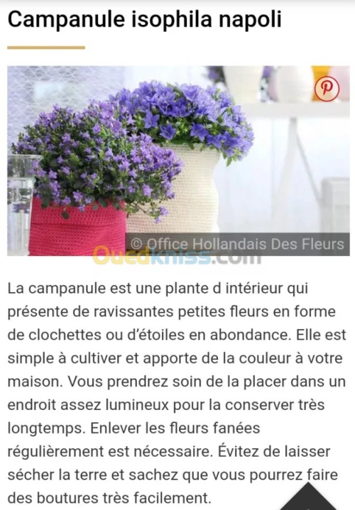 Jardinerie plantes.arbres