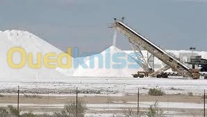 Vente de sel industriel 
