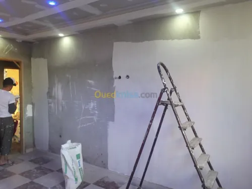 Placo plâtre  &  peinture décoratif 