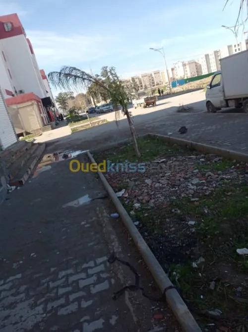 Location Local Alger Baraki