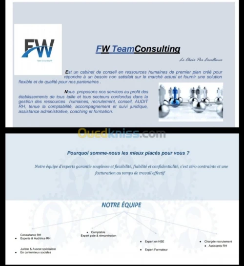 Conseil/Accompagnement/Prestations enRH