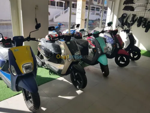 Vms Cuxi 2 2025