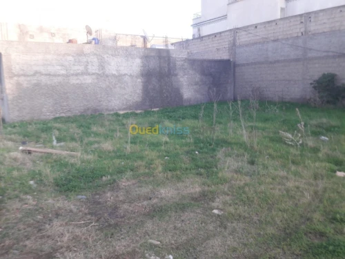 Vente Terrain Blida Soumaa