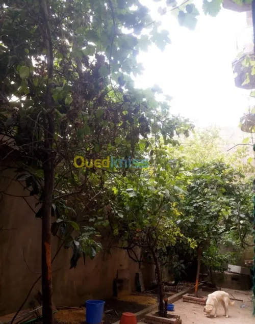 Vente Villa Constantine Constantine