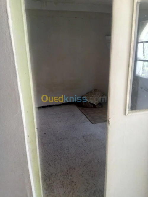 Vente bien immobilier Constantine Hamma bouziane