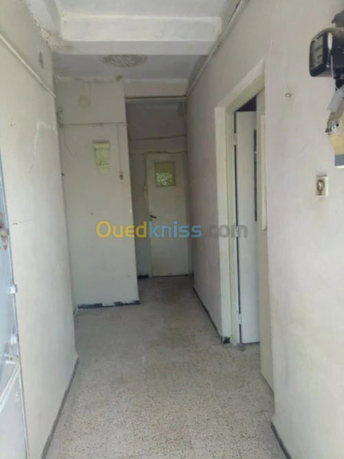 Vente bien immobilier Constantine Hamma bouziane