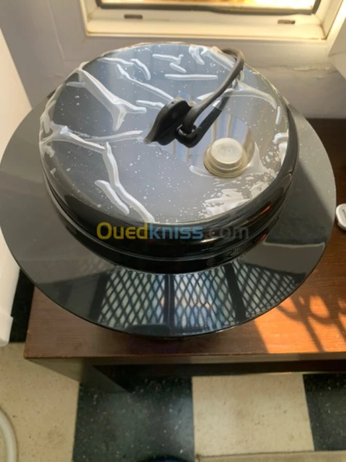 Appareil anti moustique/ tigre