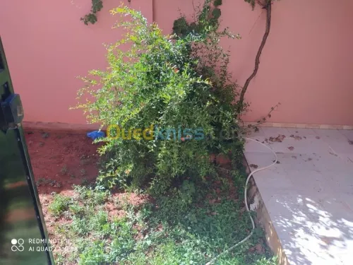 Vente Niveau De Villa F2 Tlemcen Souani