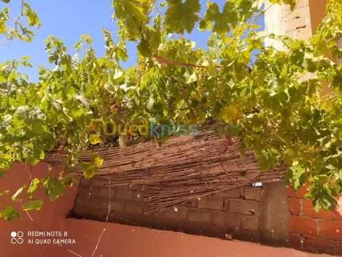Vente Niveau De Villa F2 Tlemcen Souani