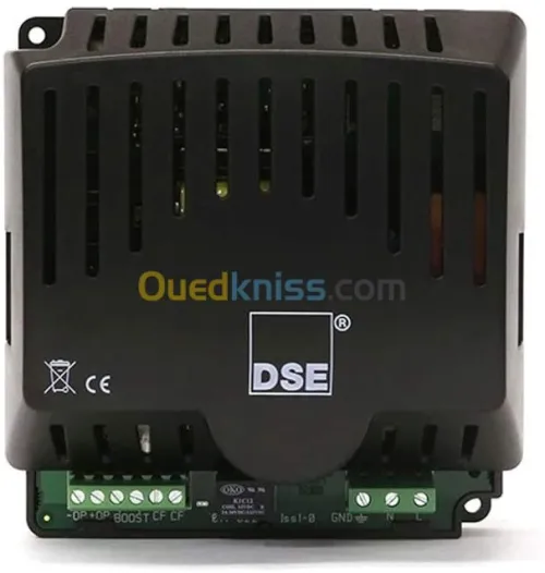 Chargeur de Batterie 12 V 24V DSE