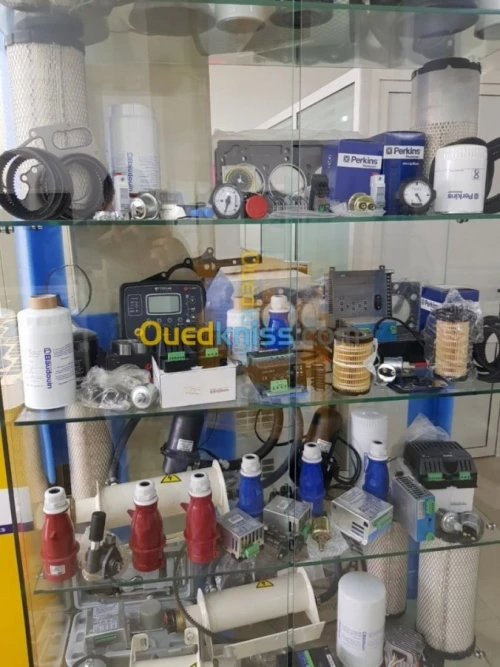 Chargeur de Batterie 12 V 24V DSE