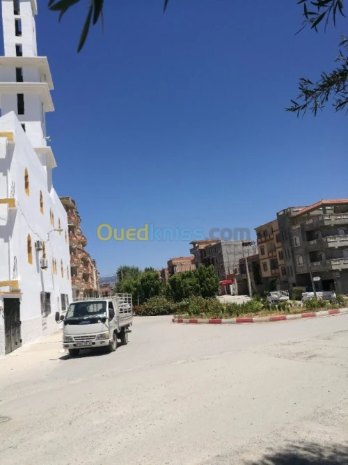 Vente Villa Mila Oued endja