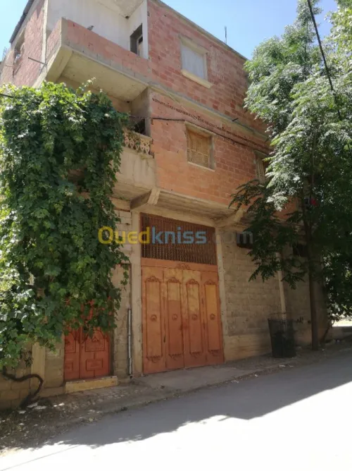 Vente Villa Mila Oued endja