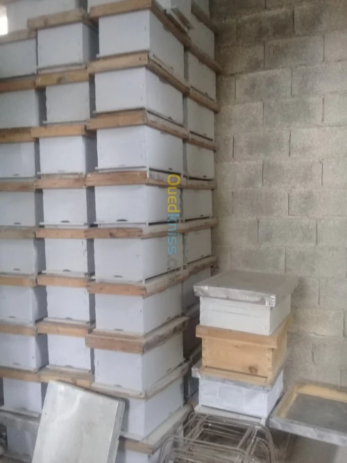 Ruche et essaims d'abeilles