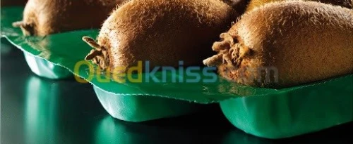 Alvéoles