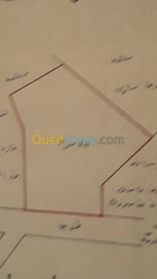 Vente Terrain Batna Ngaous