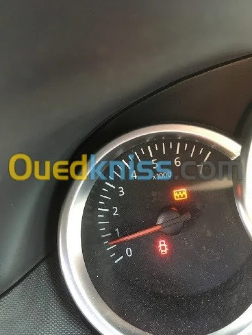 scanner auto tout les marques +activation les options caché pour Renault et Dacia .