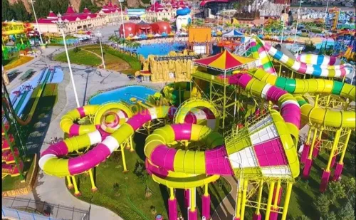 Conception / réalisation des Aquaparcs، Parcs d'attractions et salle de Gym/ Direction des Aquaparcs 