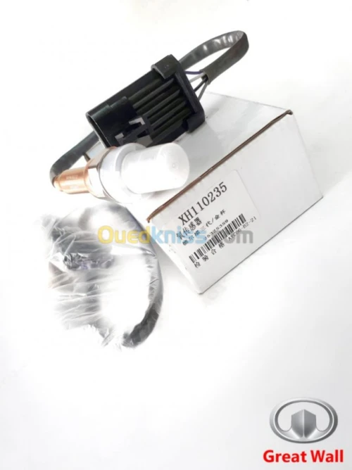 SONDE D'OXYGENE GREAT WALL 