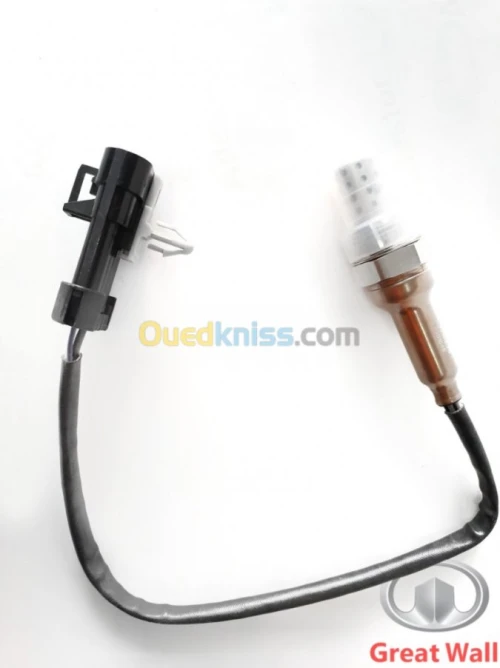 SONDE D'OXYGENE GREAT WALL 