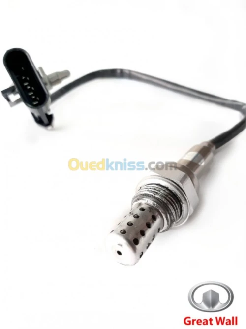 SONDE D'OXYGENE GREAT WALL 