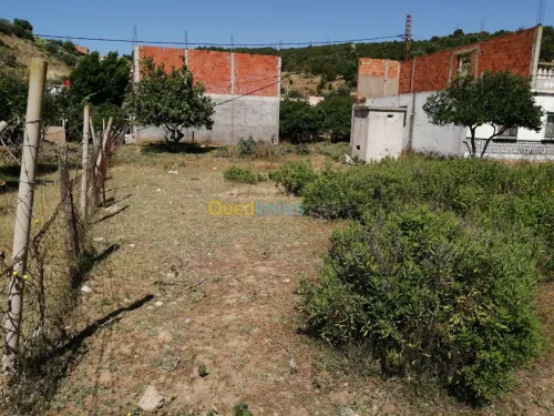 Vente Terrain Tlemcen Ghazaouet