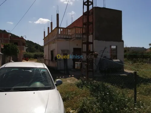 Vente Terrain Tlemcen Ghazaouet