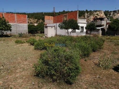 Vente Terrain Tlemcen Ghazaouet
