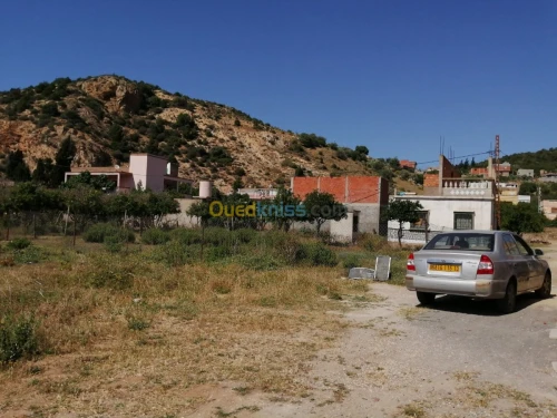 Vente Terrain Tlemcen Ghazaouet