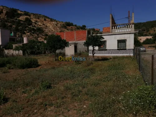 Vente Terrain Tlemcen Ghazaouet