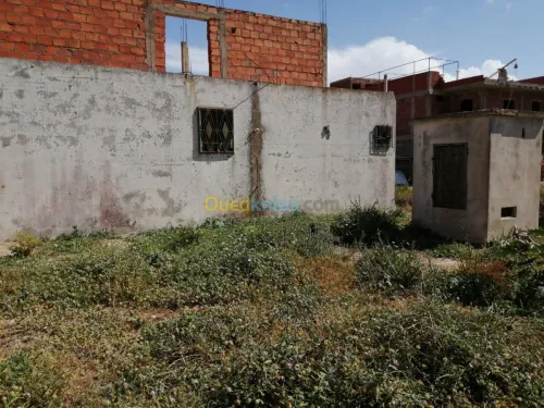 Vente Terrain Tlemcen Ghazaouet
