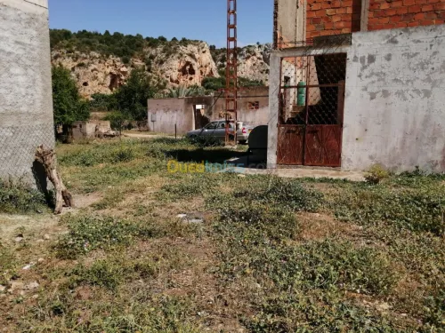 Vente Terrain Tlemcen Ghazaouet
