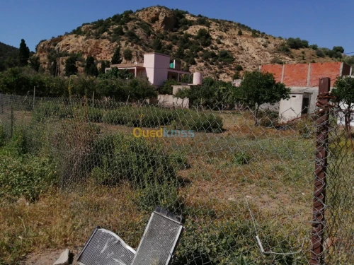 Vente Terrain Tlemcen Ghazaouet