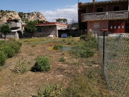 Vente Terrain Tlemcen Ghazaouet