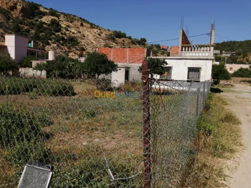 Vente Terrain Tlemcen Ghazaouet