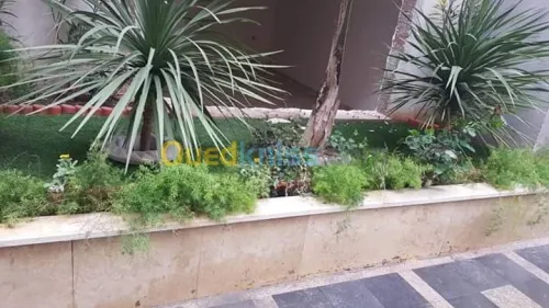 Vente Appartement Alger Dely brahim