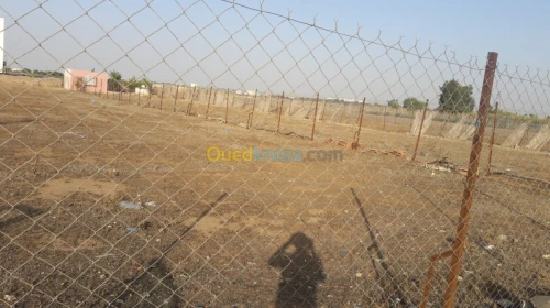 Vente Terrain Sidi bel abbes Sidi bel abbes