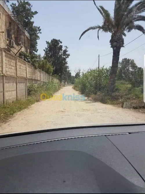 Location Local Alger Dar el beida