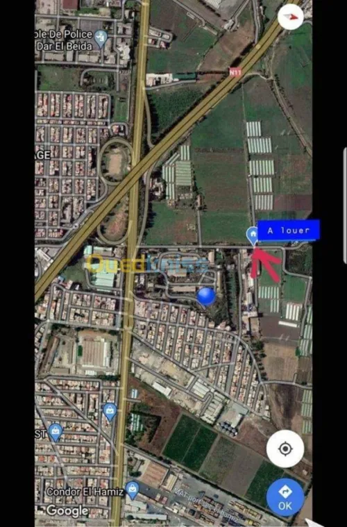Location Local Alger Dar el beida